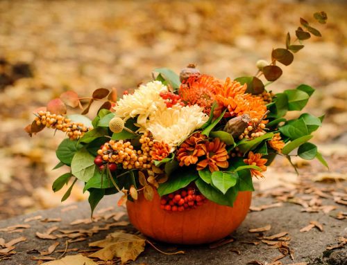 How to Use  Pumpkins, Flowers, and Fall Accents to Decorate For Halloween