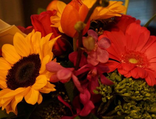 Add Style and Beauty to Thanksgiving with Pugh’s Cutting-Edge Floral Designs