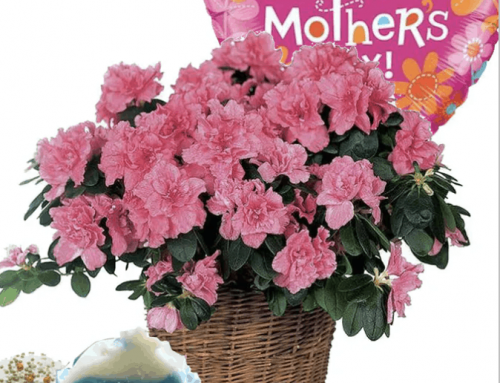 Unique Ideas to Make This Mother’s Day Still Special