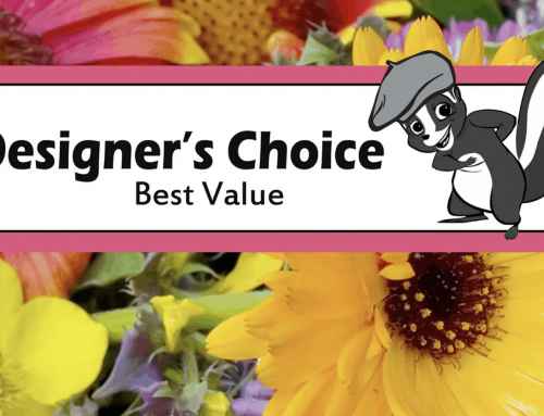 Designer’s Choice Floral Designs Make a Thoughtful Gift Choice