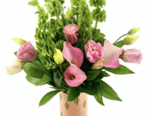 Enjoy the Arrival of Summer with Fresh Flowers and Seasonal Plants