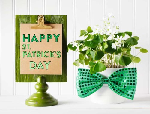 Shop with Pugh’s Flowers for fantastic Saint Patrick’s Day Flowers