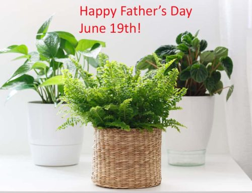 Shop for Father’s Day Floral Gifts at Pugh’s Flowers and Receive Reward Points!
