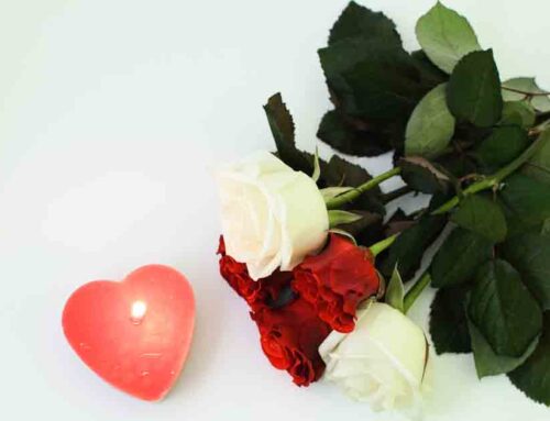 Shop for Valentine’s Day Flowers and Gifts at Pugh’s Flowers. (See Multi-Purpose Blog Coupons Below)