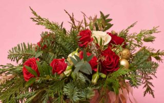 Christmas Flowers