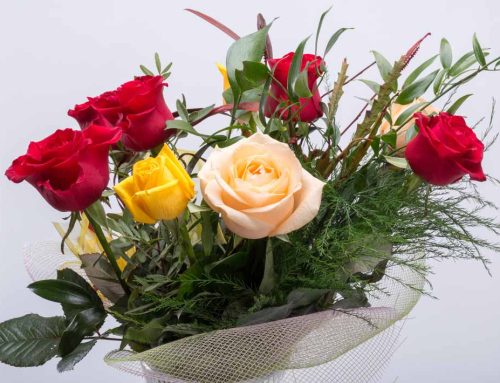 Use Our Blog Discounts to Purchase MLK Day Floral Products and Honor this Special Day!