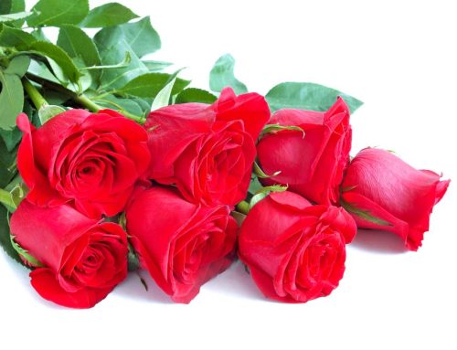 We Offer the Best Valentine’s Day Flowers Collection in Memphis!