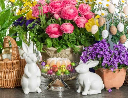 Celebrating Easter with Flourishing Blooms: A Guide to the Best Easter Flowers and Plants