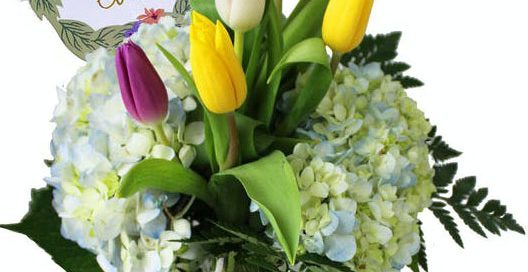 Pugh's Flowers Mother's Day Flowers & Gifts ECUADORIAN ROSES, HOLLAND TULIPS, FULL BLOOM HYDRANGEA, EXOTIC ORCHIDS