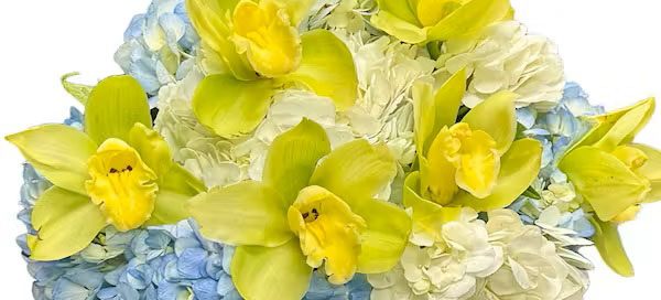 Pugh's Flowers Funeral and Sympathy Floral Products Standing Sprays, Casket Flowers, Fireside Flowering Baskets