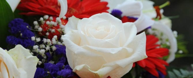 Pugh's Flowers Independence Day Celebration Flowers Same Day Local Delivery