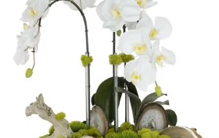 Pugh's Flowers Father's Day Floral Gifts Flowers, Succulent Plants, Gourmet Baskets