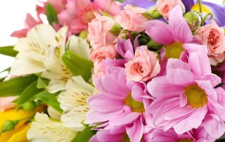 Pugh's Flowers Parents' Day and International Day of Friendship Flowers Voted Best Florist in Memphis