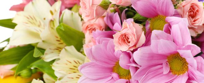 Pugh's Flowers Parents' Day and International Day of Friendship Flowers Voted Best Florist in Memphis