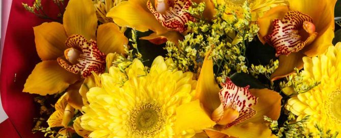 Pugh's Flowers Love and Romance Flowers