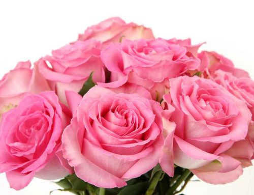 Pugh’s Flowers Proudly Delivers to Baptist Memorial Hospital for Women