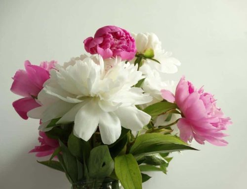 Holiday Host Thank you Flowers Make a Lasting Impression