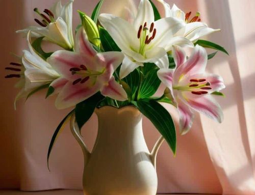 Easter Flowers Help to Celebrate this Day of Joy and Renewal