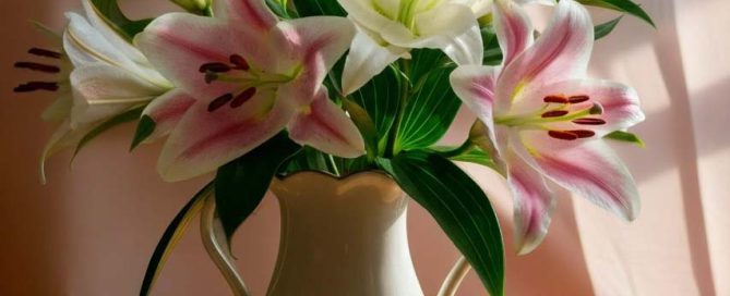 Easter Lilies in Porcelain Vase