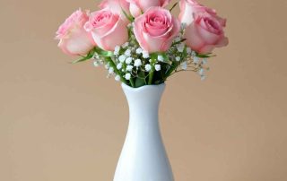 Mother's Day Pink Roses