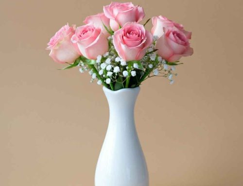 Mother’s Day Flowers are Perfect for Showing your Love and Appreciation