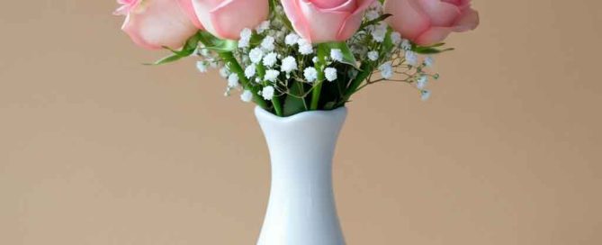 Mother's Day Pink Roses
