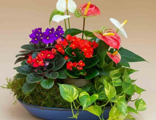 Fall Floral Products Add a Touch of Autumn to Your Home and Celebrations