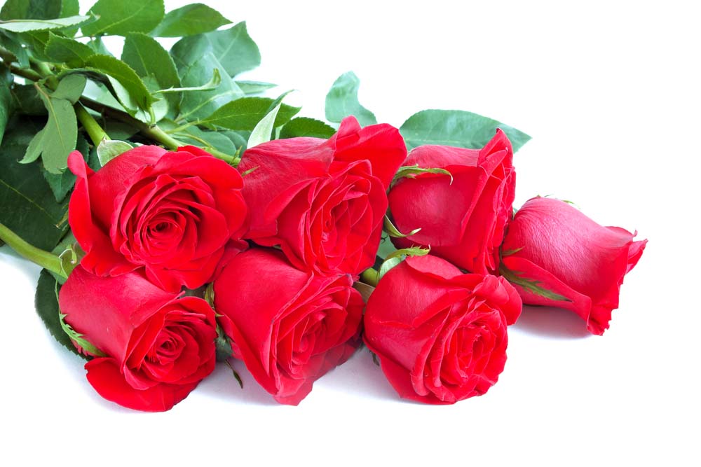 We Offer the Best Valentine’s Day Flowers Collection in Memphis!