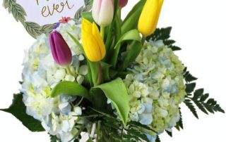 Pugh's Flowers Mother's Day Flowers & Gifts ECUADORIAN ROSES, HOLLAND TULIPS, FULL BLOOM HYDRANGEA, EXOTIC ORCHIDS