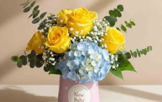 New Baby Flowers with Roses and Hydrangea