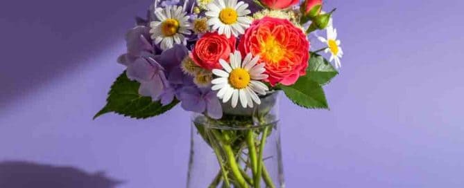 Daisies, Roses and Hydrangea Summer Flower Arrangement